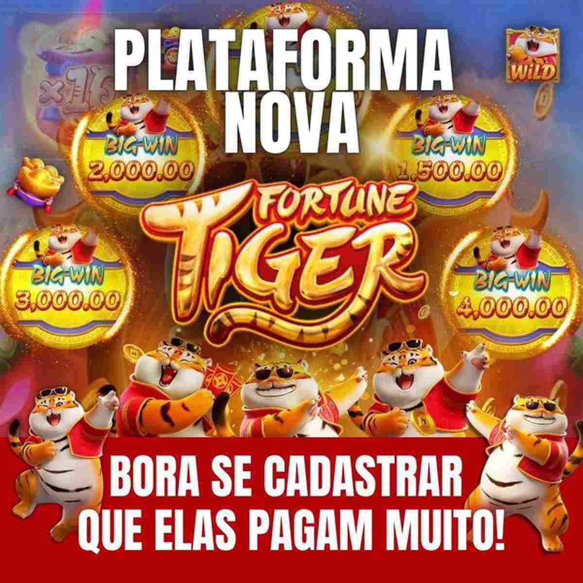 plataforma jgrbet